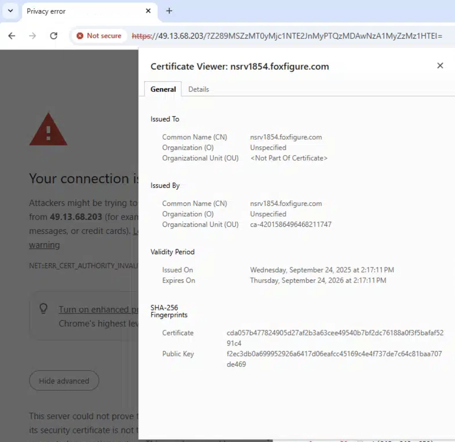 Certificate viewer showing nsrv1854.foxfigure.com certificate on 49.13.68.203