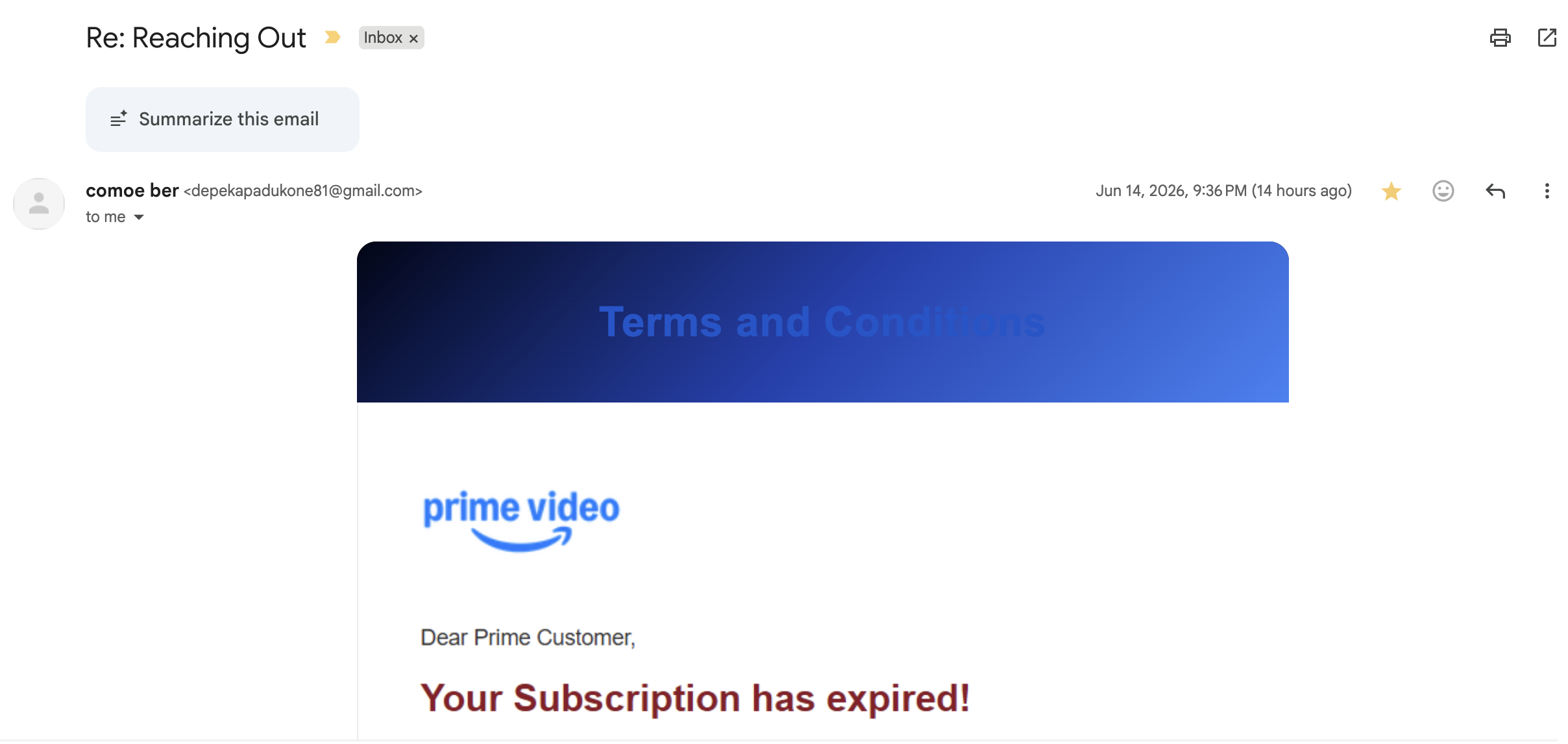 Rendered Gmail message showing a fake Prime Video terms and conditions lure